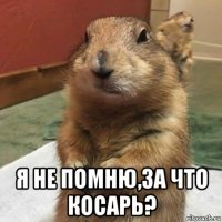  я не помню,за что косарь?