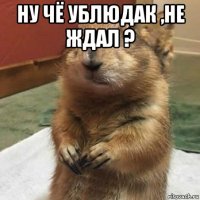 ну чё ублюдак ,не ждал ? 