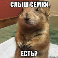 слыш семки есть?