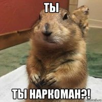 ты ты наркоман?!