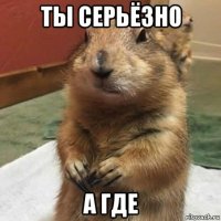 ты серьёзно а где