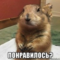  понравилось?