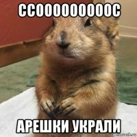 ссооооооооос арешки украли