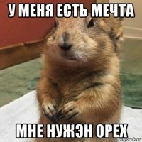 у меня есть мечта мне нужэн орех