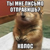 ты мне письмо отправишь? колос