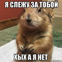 я слежу за тобой хых а я нет