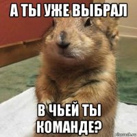 а ты уже выбрал в чьей ты команде?