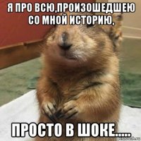 я про всю,произошедшею со мной историю, просто в шоке.....