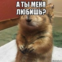 а ты меня любишь? 