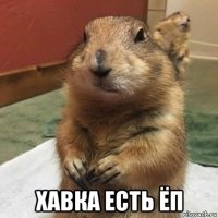  хавка есть ёп