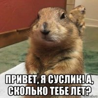  привет, я суслик! а, сколько тебе лет?