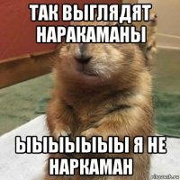 так выглядят наракаманы ыыыыыыы я не наркаман