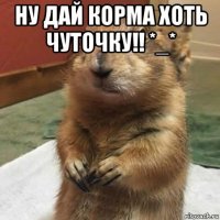 ну дай корма хоть чуточку!! *_* 