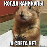 когда каникулы а света нет