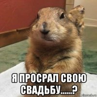  я просрал свою свадьбу......?