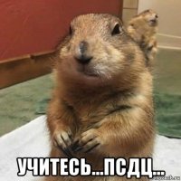  учитесь...псдц...