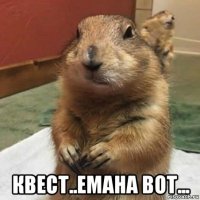  квест..емана вот...