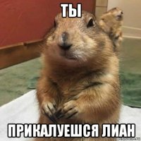 ты прикалуешся лиан