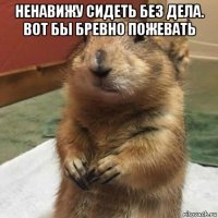 ненавижу сидеть без дела. вот бы бревно пожевать 