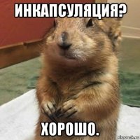 инкапсуляция? хорошо.