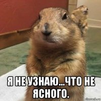  я не узнаю...что не ясного.