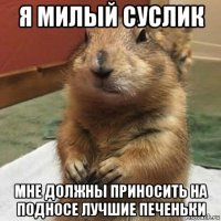 я милый суслик мне должны приносить на подносе лучшие печеньки