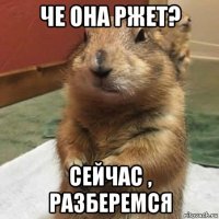 че она ржет? сейчас , разберемся