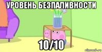 уровень безпаливности 10/10