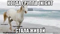 когда группа 1night стала живой