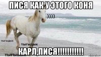 пися как у этого коня карл,пися!!!!!!!!!!!