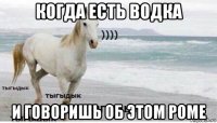 когда есть водка и говоришь об этом роме