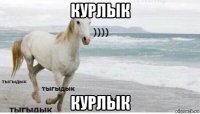 курлык курлык