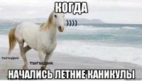 когда начались летние каникулы