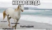 новая звезда 