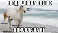 когда школа все же вписала на нг