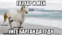 гаухар и мен уйге барганда тгдк