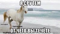 я сру тем от чего вы течёте