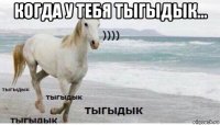 когда у тебя тыгыдык... 