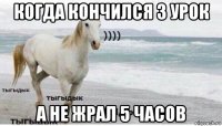 когда кончился 3 урок а не жрал 5 часов