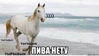  пива нету