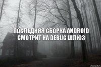 последняя сборка android смотрит на debug шлюз