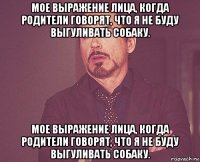 мое выражение лица, когда родители говорят, что я не буду выгуливать собаку. мое выражение лица, когда родители говорят, что я не буду выгуливать собаку.