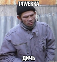 t4werka дичь