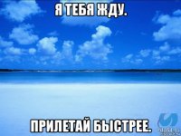 я тебя жду. прилетай быстрее.