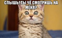 слышь! ты чё смотришь на меня? 