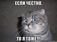 если честно, то я тоже!!!