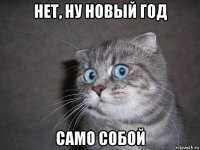 нет, ну новый год само собой