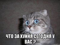  что за хуйня сегодня у вас ?