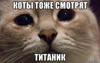 коты тоже смотрят титаник