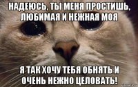 надеюсь, ты меня простишь, любимая и нежная моя я так хочу тебя обнять и очень нежно целовать!